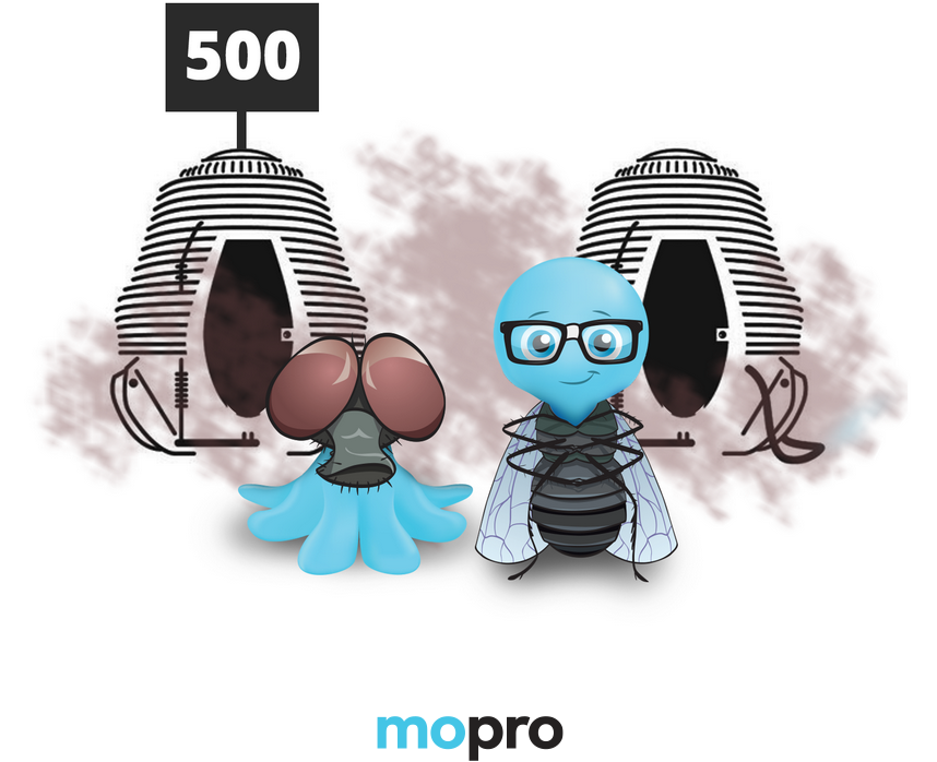 Internal Server Error